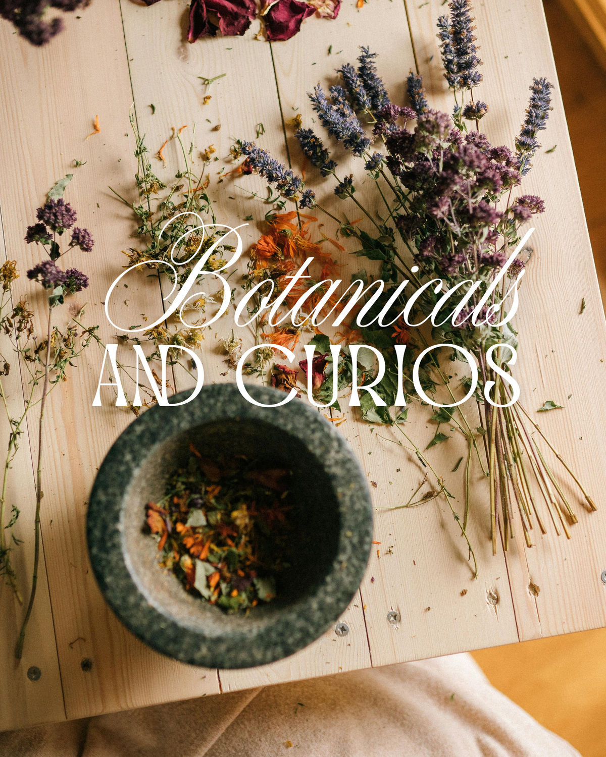 Dried Herbs & Flowers