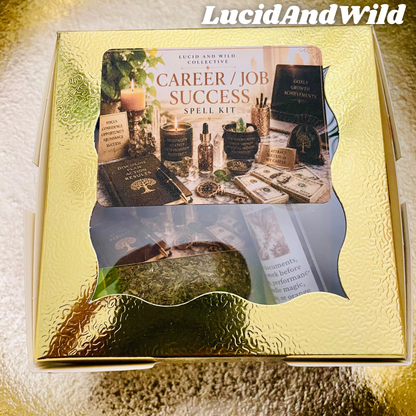 Career Success and Job Success Spell Kit